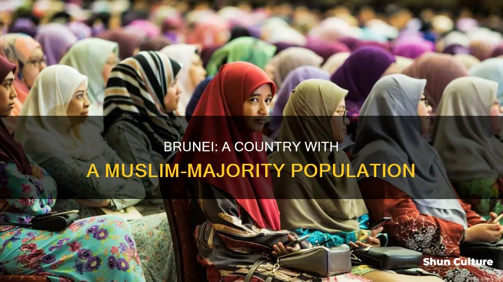 is brunei muslim