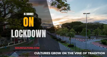 Brunei's Lockdown: What You Need to Know