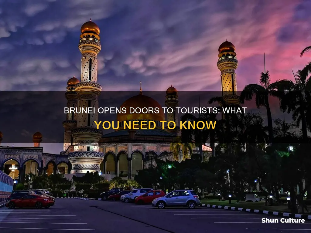 is brunei open for tourists