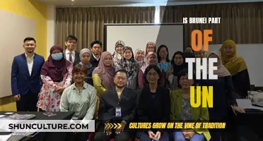 Brunei's UN Membership: What's the Deal?