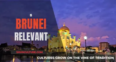 Brunei's Relevance: A Country's Impact and Influence