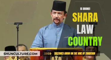 Brunei's Sharia Law: A Country's Strict Religious Rule