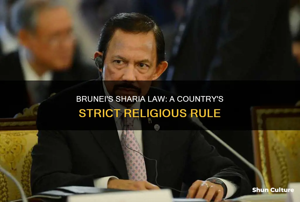 is brunei shara law country