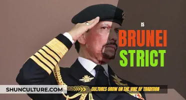 Brunei's Strict Laws: A Tourist's Guide to the Country