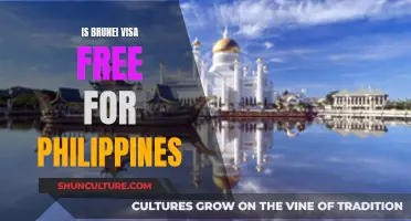 Brunei Visa Requirements for Filipinos: Do You Need One?