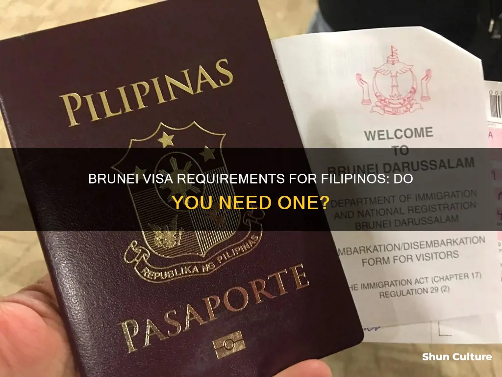 is brunei visa free for philippines