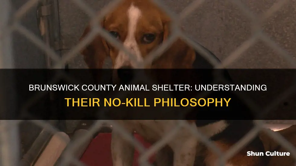 is brunswick county animal shelter a kill shelter