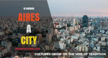 Exploring the Urban Landscape: Is Buenos Aires a City?