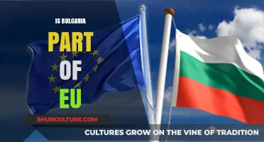 Exploring Bulgaria's EU Membership: Facts, Benefits, and Challenges