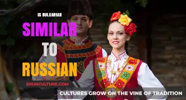 Exploring the Linguistic Ties: Bulgarian and Russian Similarities Unveiled