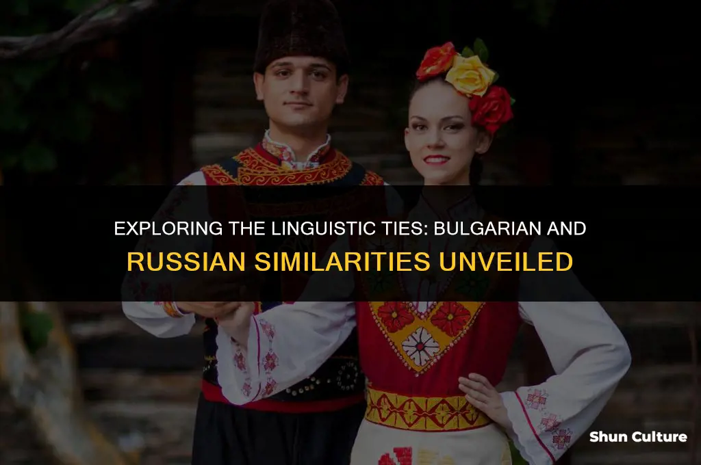 is bulgarian similar to russian