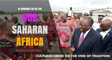 Exploring Burkina Faso's Place in Sub-Saharan Africa