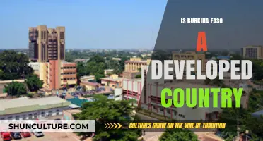 Exploring Burkina Faso's Development Status: Facts and Figures