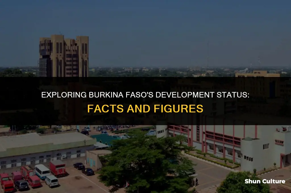 is burkina faso a developed country