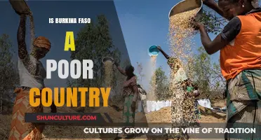 Exploring Burkina Faso's Economic Landscape: Challenges and Opportunities