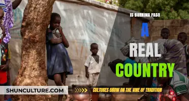 Exploring the Reality of Burkina Faso: A West African Nation Unveiled