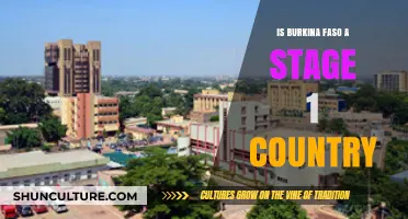 Exploring Burkina Faso's Developmental Stage: A Comprehensive Analysis