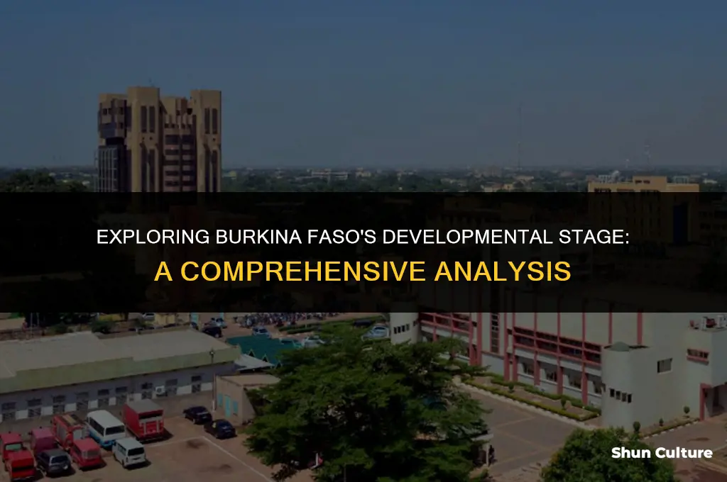 is burkina faso a stage 1 country