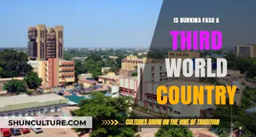 Exploring Burkina Faso's Economic and Social Development Status