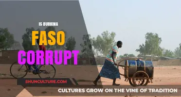 Unveiling the Truth: Corruption in Burkina Faso