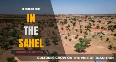 Exploring Burkina Faso's Place in the Sahel Region