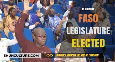 Democracy in Action: The Electoral Process of Burkina Faso's Legislature