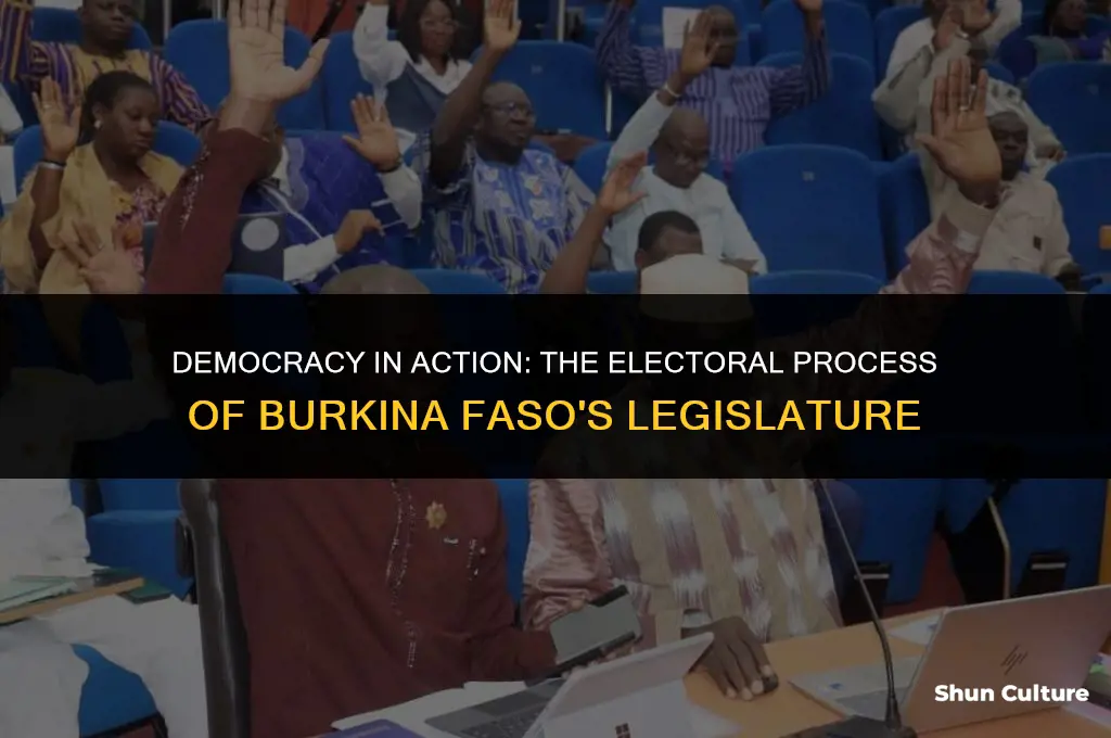 is burkina faso legislature elected