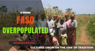 Exploring Burkina Faso's Population Density: Overcrowded or Underestimated?
