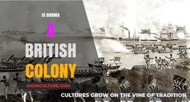 Exploring Burma's Colonial Past: A British Colony?