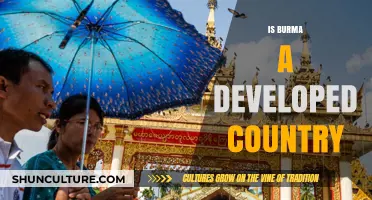 Exploring Burma's Development: A Journey Through Progress and Challenges
