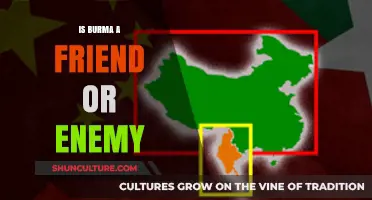 Decoding Myanmar: A Complex Friendship or a Thorny Adversary?