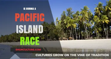 Exploring the Cultural Identity: Is Burma a Pacific Island Race?