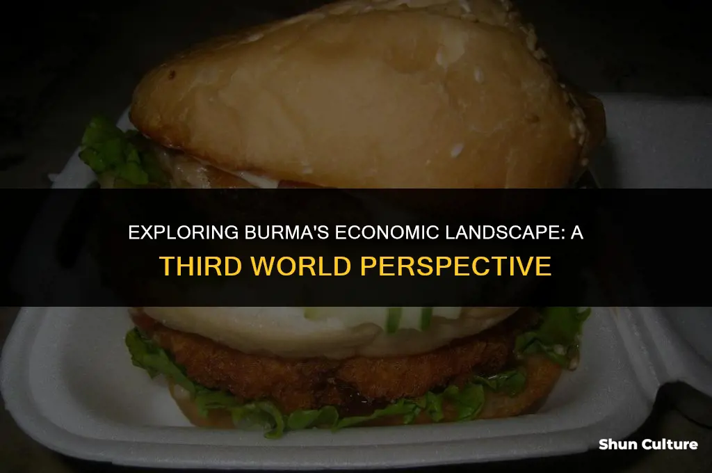 is burma a third world country