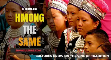 Exploring the Distinct Identities: Burma and Hmong - A Comparative Insight