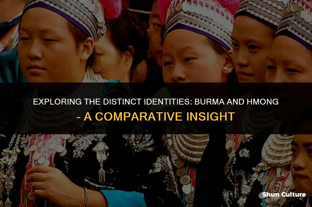 is burma and hmong the same