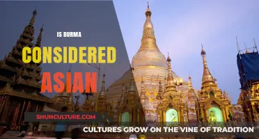Exploring the Cultural Identity: Is Burma Considered Asian?