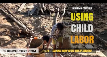 Persistent Shadows: Child Labor's Continued Presence in Burma
