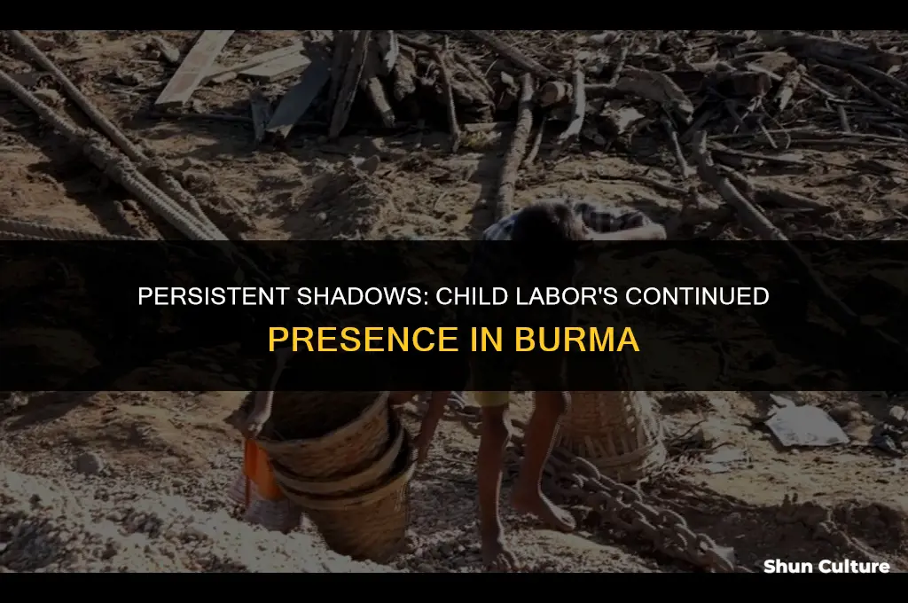 is burma continue using child labor