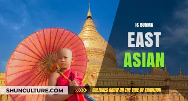 Exploring Burma's Cultural Identity: East Asian or Southeast Asian?