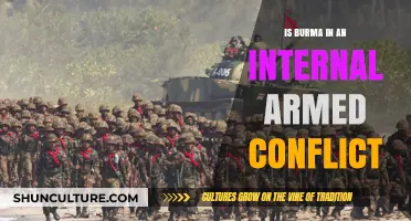 Burma's Turmoil: Understanding the Complexities of Internal Armed Conflict