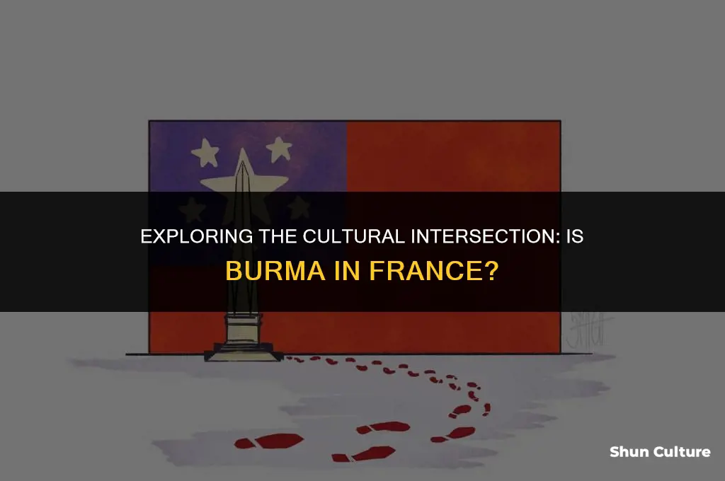 is burma in france