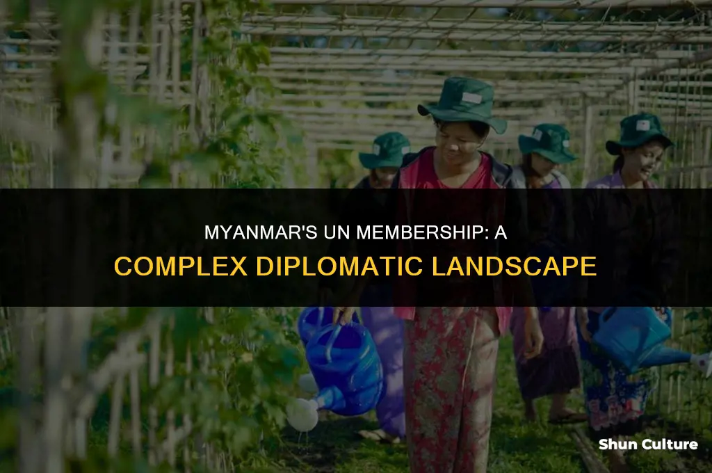 is burma in the un