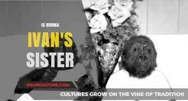 Exploring the Intriguing Connection: Is Burma Ivan's Sister?