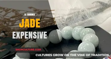 Exploring the Value: Is Burma Jade Worth the High Price?