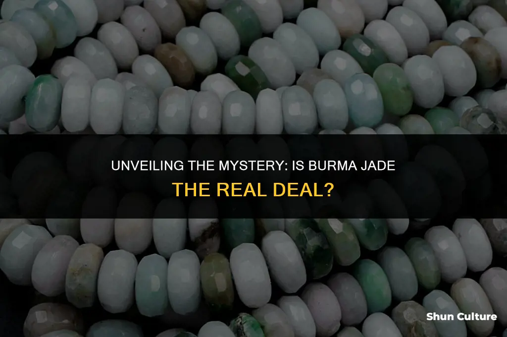 is burma jade real