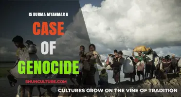 Unveiling the Truth: Is Burma/Myanmar Facing Genocide?