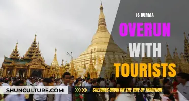 Exploring Burma: A Local's Perspective on the Tourist Influx