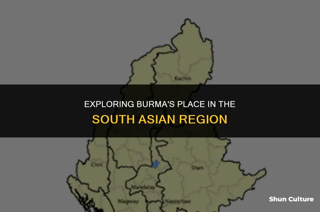 is burma part of south asia region