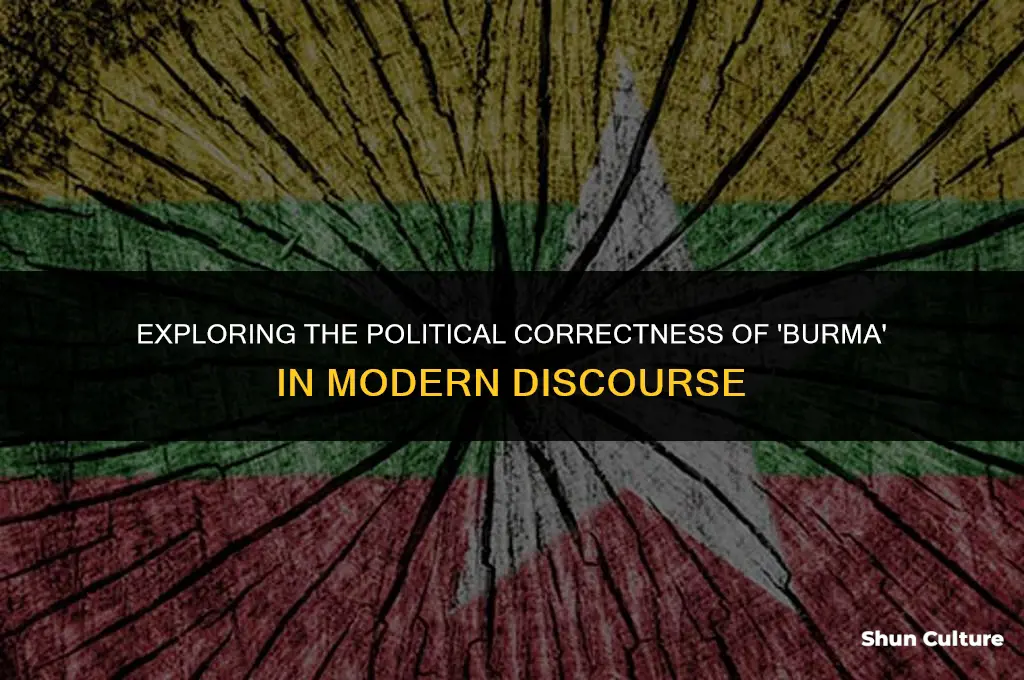 is burma politically correct
