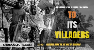 Burma's Villagers: A Continuing Struggle Amidst Political Turmoil